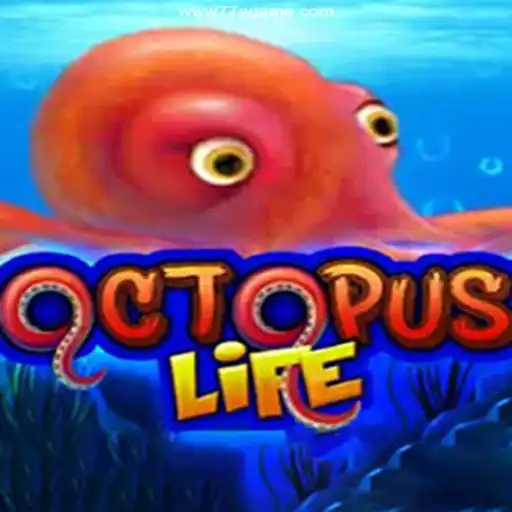 Exploring OctopusLife: A Dive into Brazil's Best Online Casino Experience